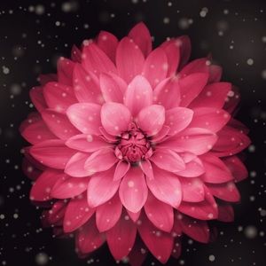 Meet your Posher, Aileen